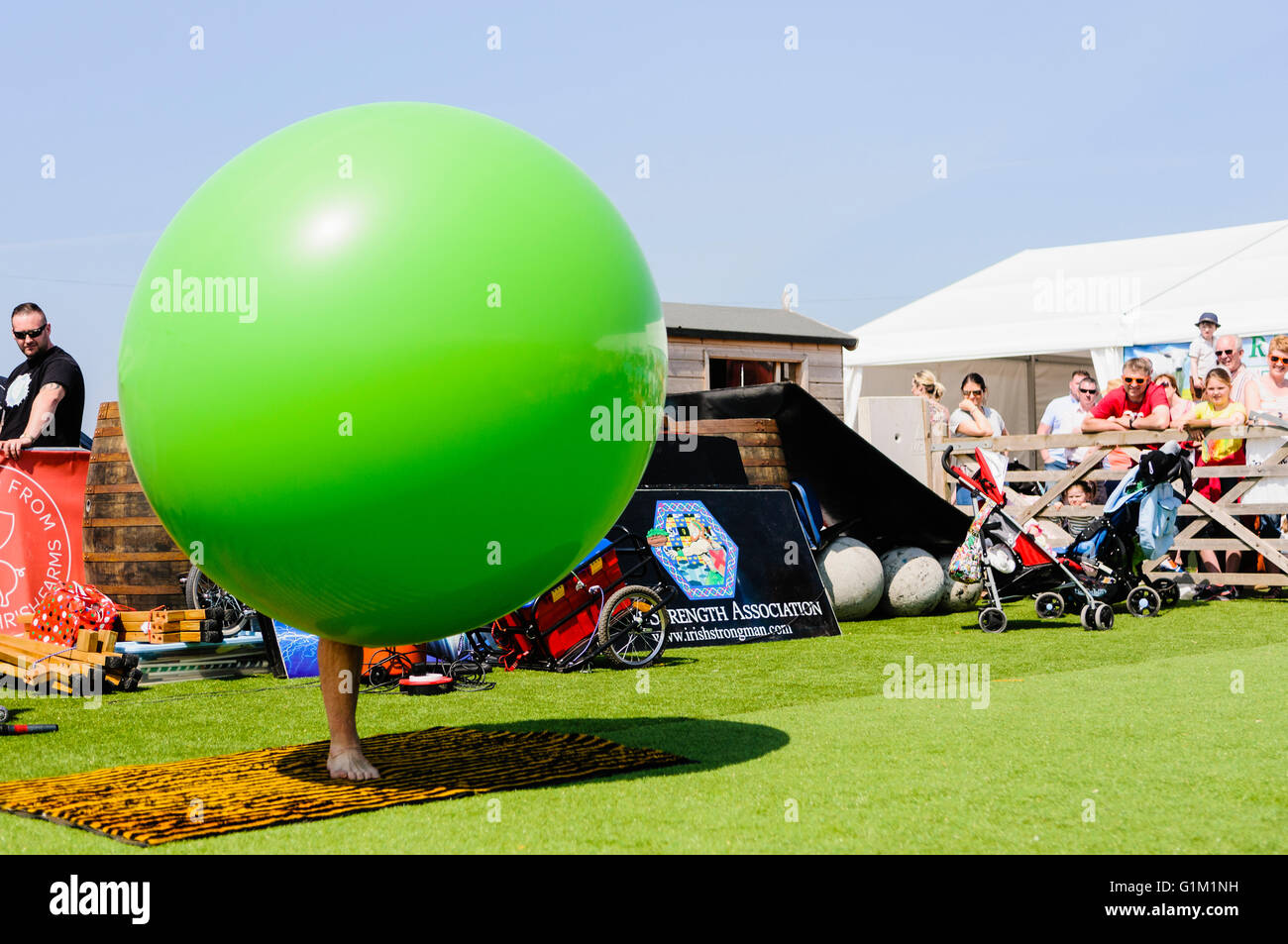 A children's performer inserts himself into a large green inflatable balloon, leaving only hie right leg sticking out. Stock Photo