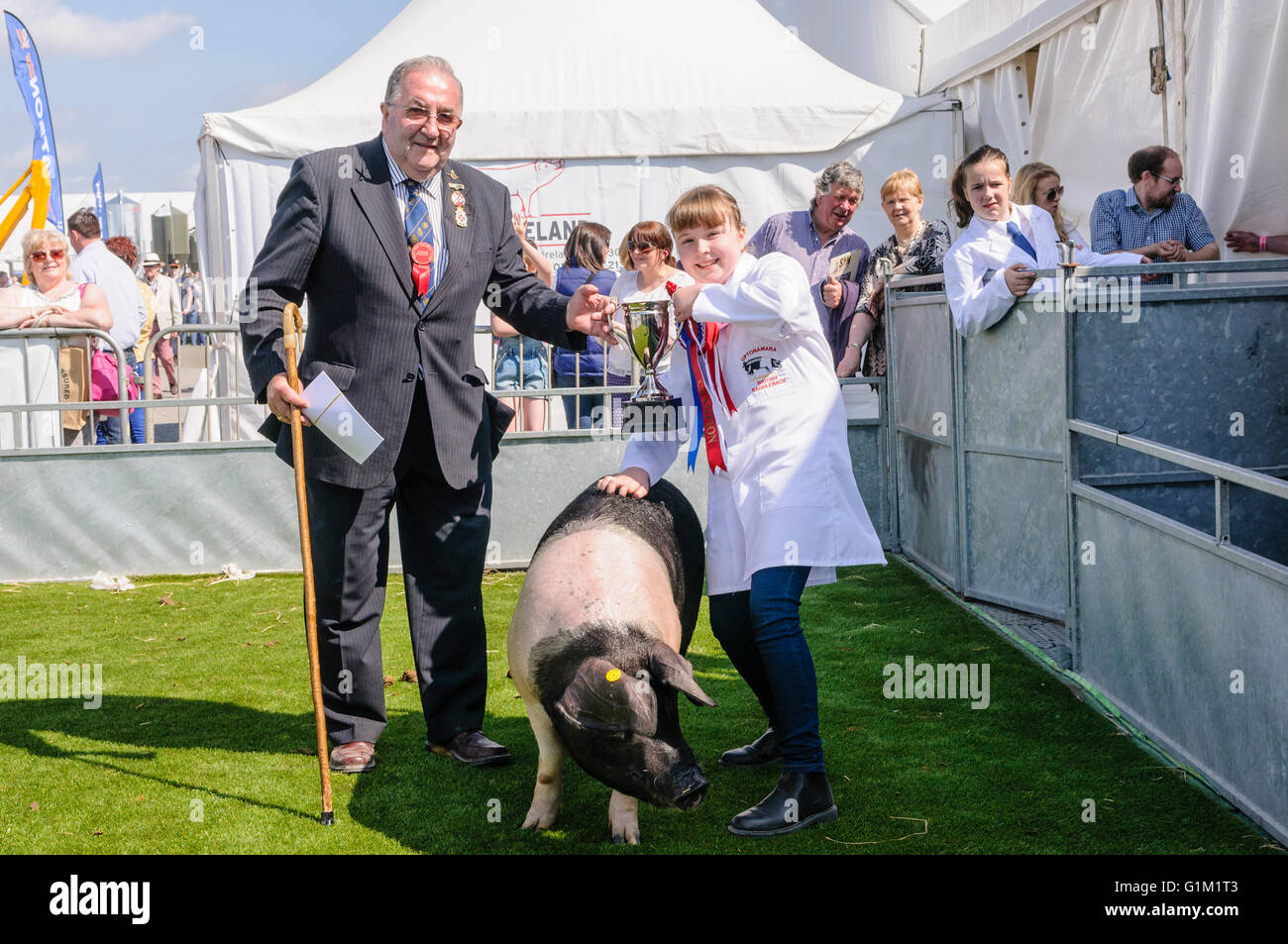Samara Radcliffe Samara Radcliffe (Banbridge) wins 1st prize in the junior pig handling ...