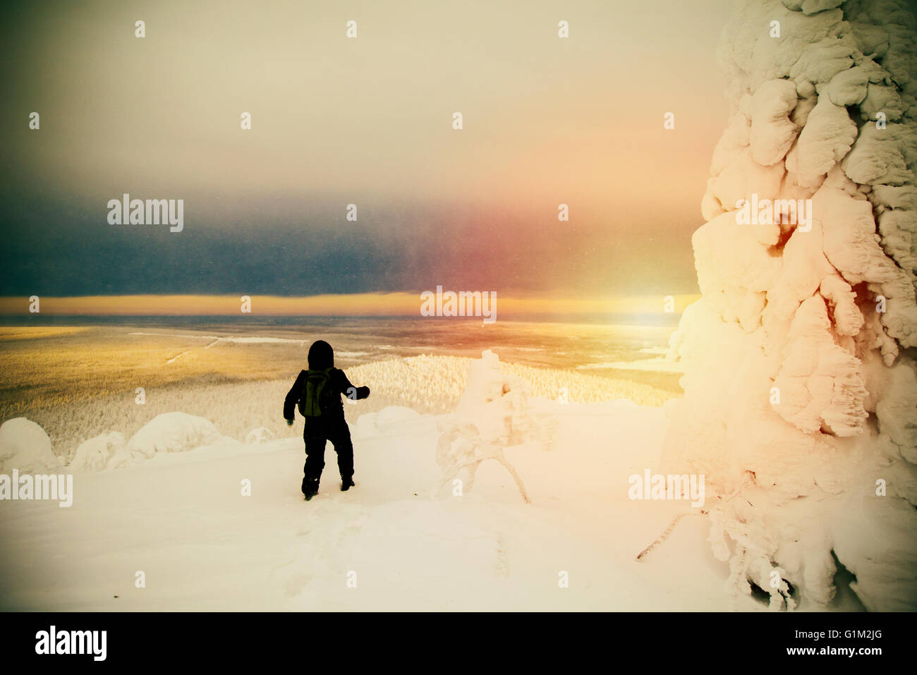 Hiker in snowy forest hi-res stock photography and images - Alamy
