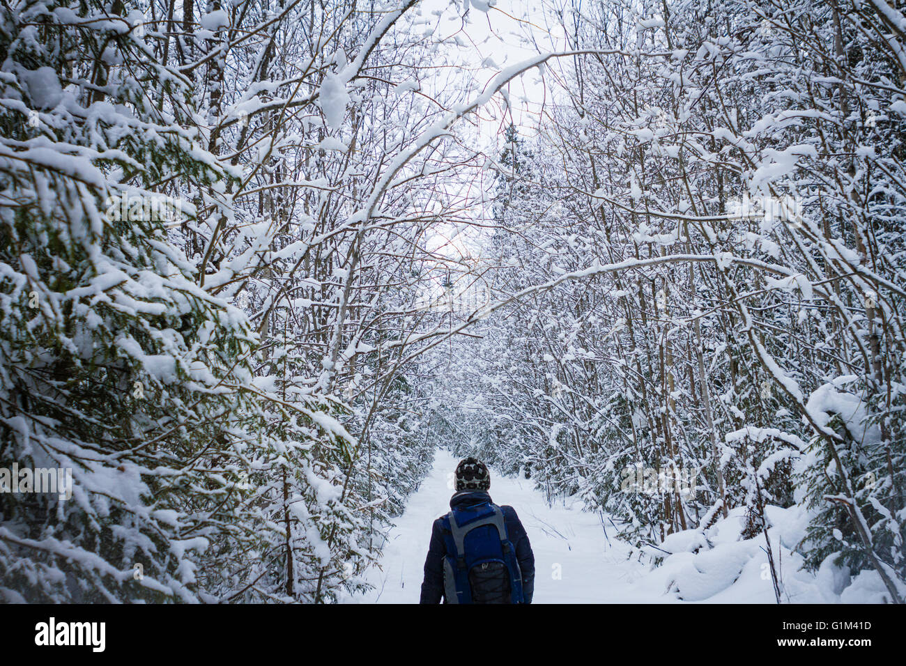 Caucasian hiker walking in snowy forest Stock Photo