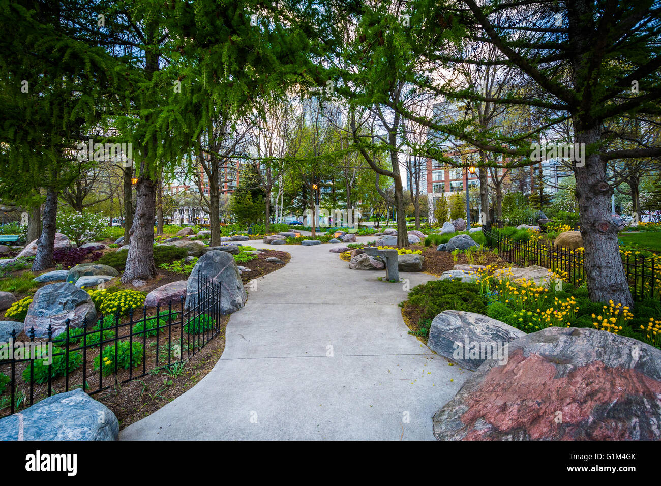 Trees And Gardens Along A Walkway At The Toronto Music Garden At