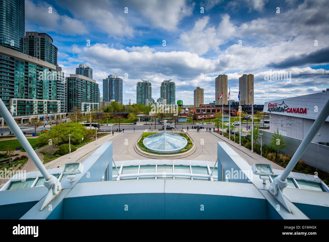 View of a park and modern buildings in downtown Toronto, Ontario Stock ...