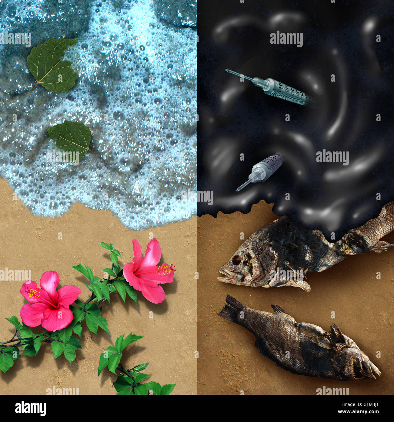 Environmental concept with a clean beach with natural plants and a dark contrasting opposite side with an oil spill disaster with dead fish and medical waste pollution with 3D illustration elements. Stock Photo