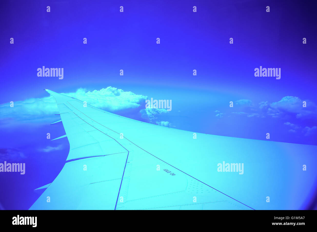 Let wing hi-res stock photography and images - Alamy