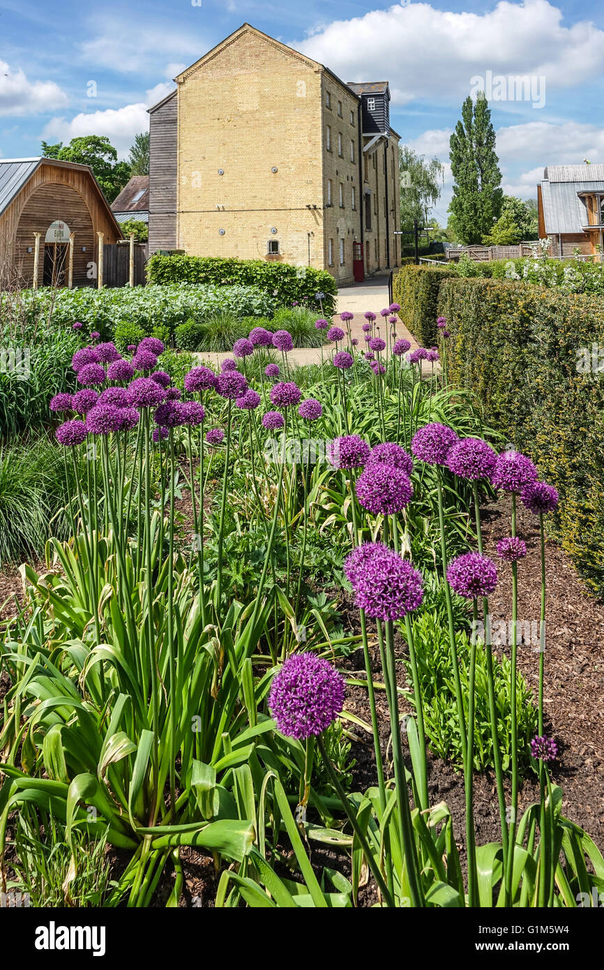 Jordans Mill, Holme Mills, Langford Road, Broom, Bedfordshire, outside