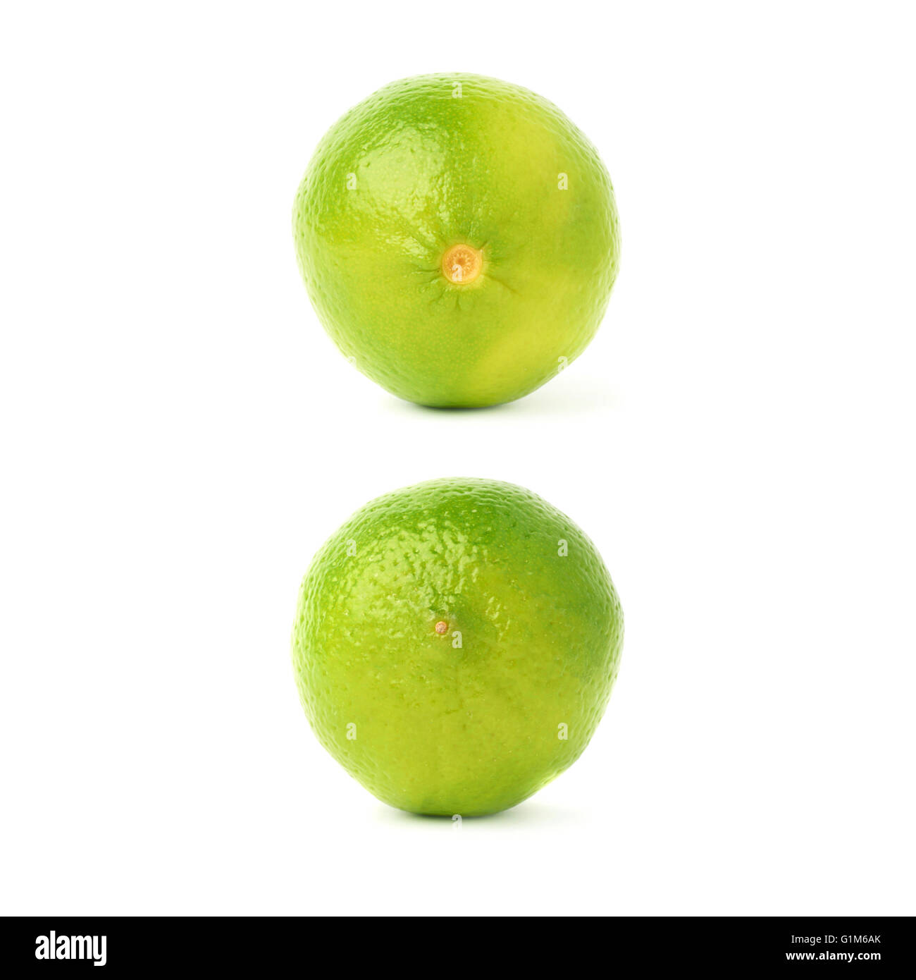 Set of two single limes in different compositions and foreshortenings ...