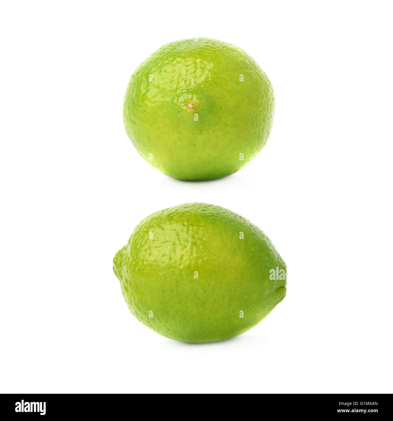 Set of two single limes in different compositions and foreshortenings ...