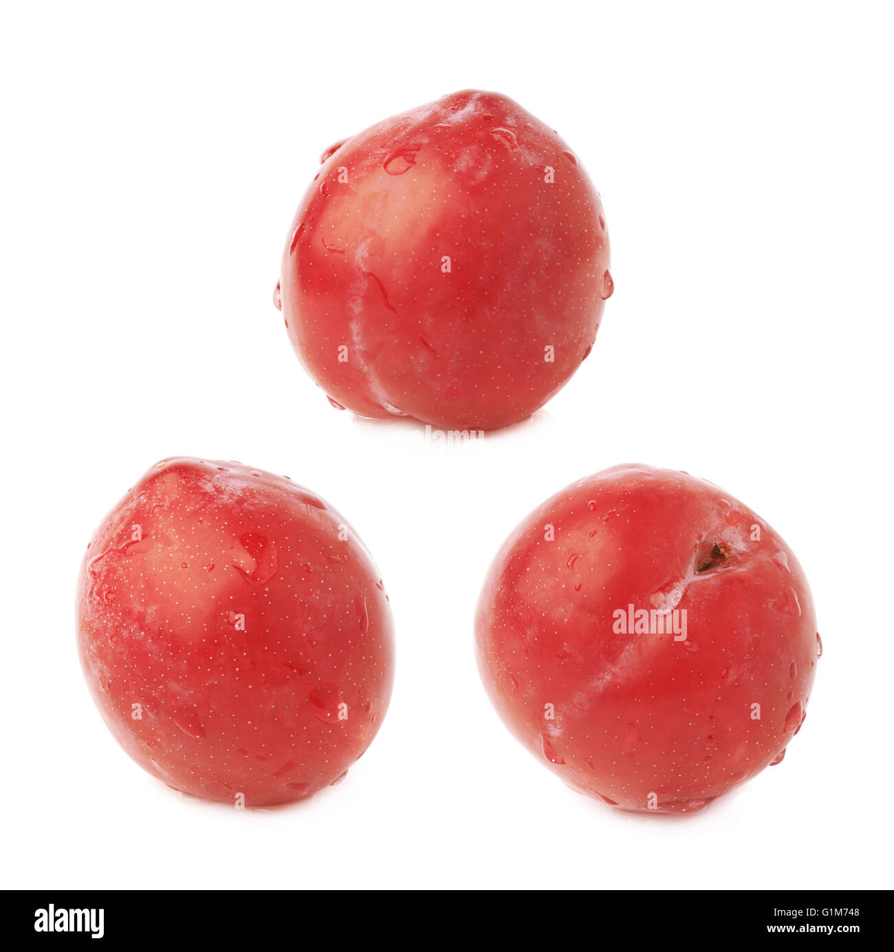 Single red victoria plum isolated Stock Photo Alamy