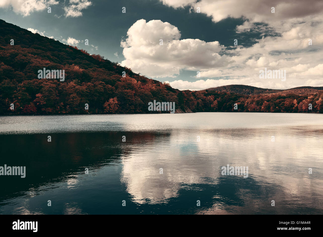 Autumn colorful foliage with lake reflection Stock Photo - Alamy