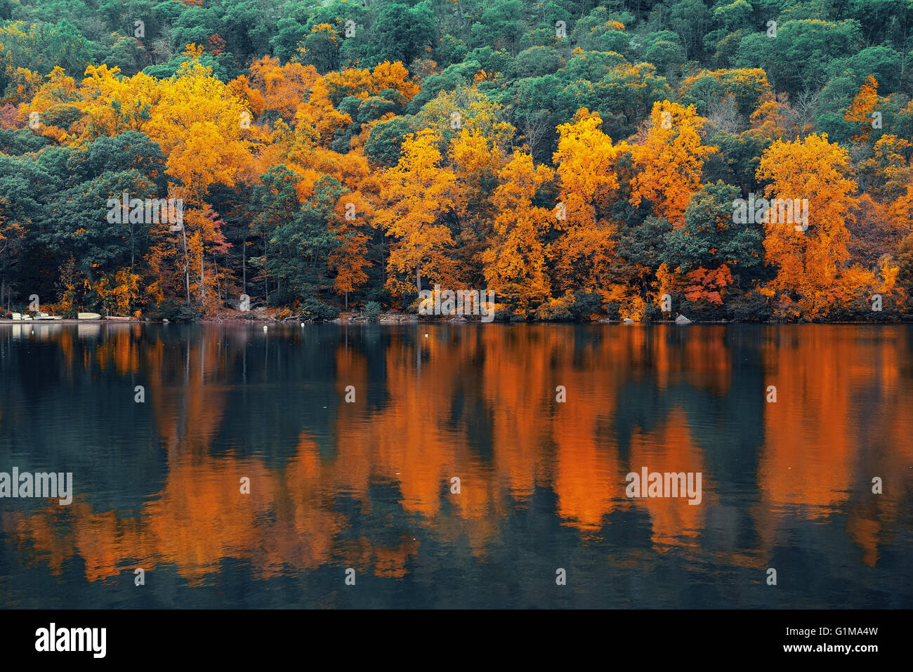 Autumn colorful foliage with lake reflection Stock Photo - Alamy