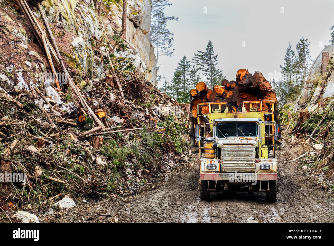 Loaded logging truck on forest road Stock Photo