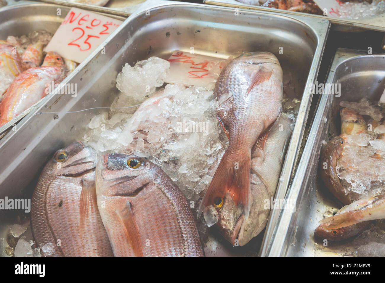 Fresh fish in the fish market Greece Stock Photo Alamy