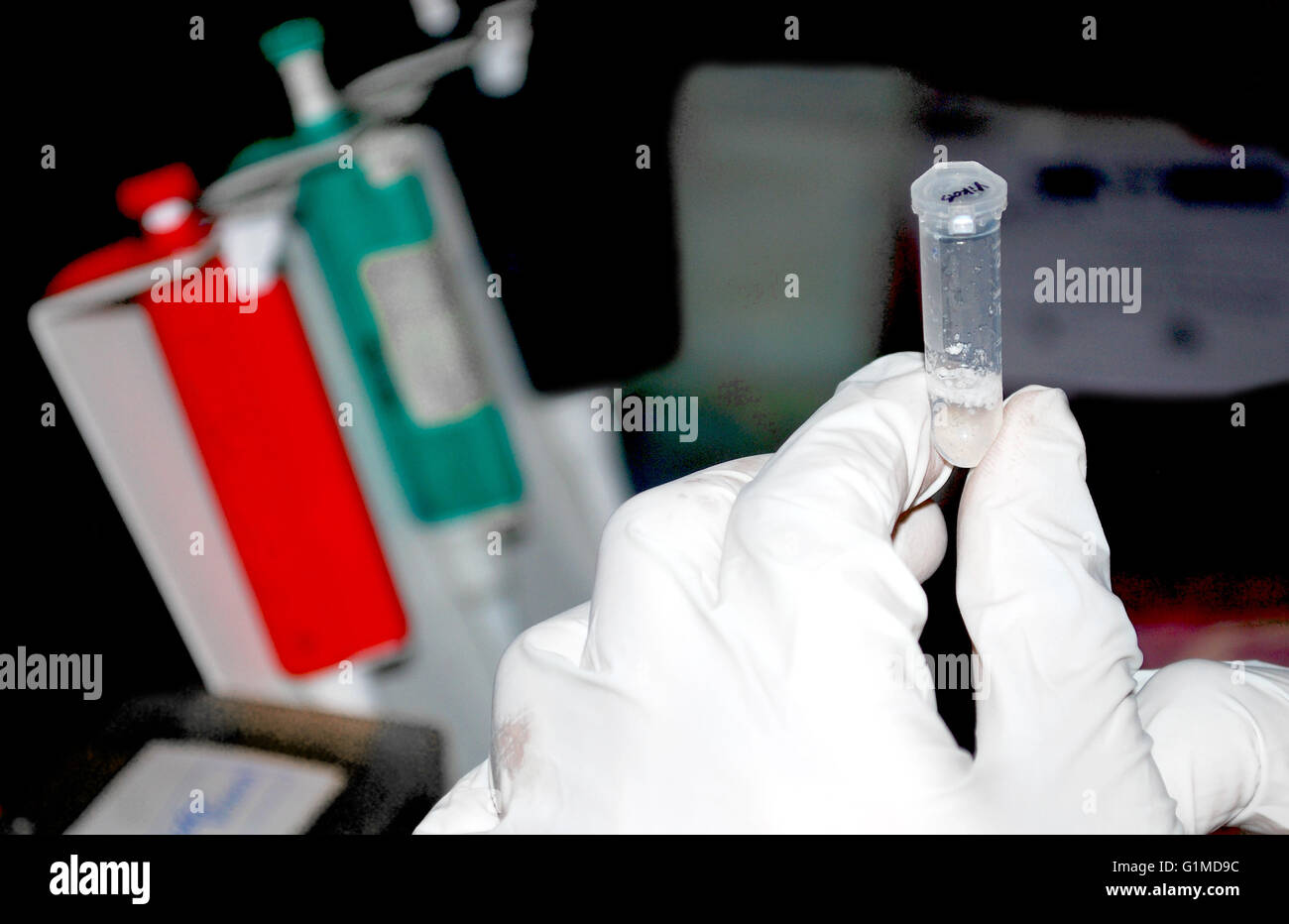 Lab research procedure Stock Photo Alamy
