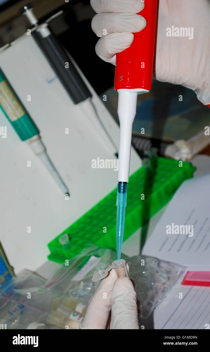 Educational procedure hi-res stock photography and images - Alamy