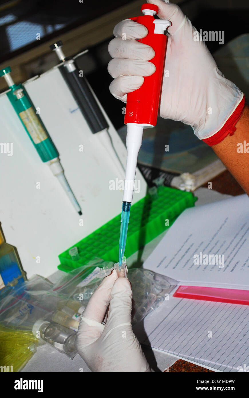 Lab research procedure Stock Photo