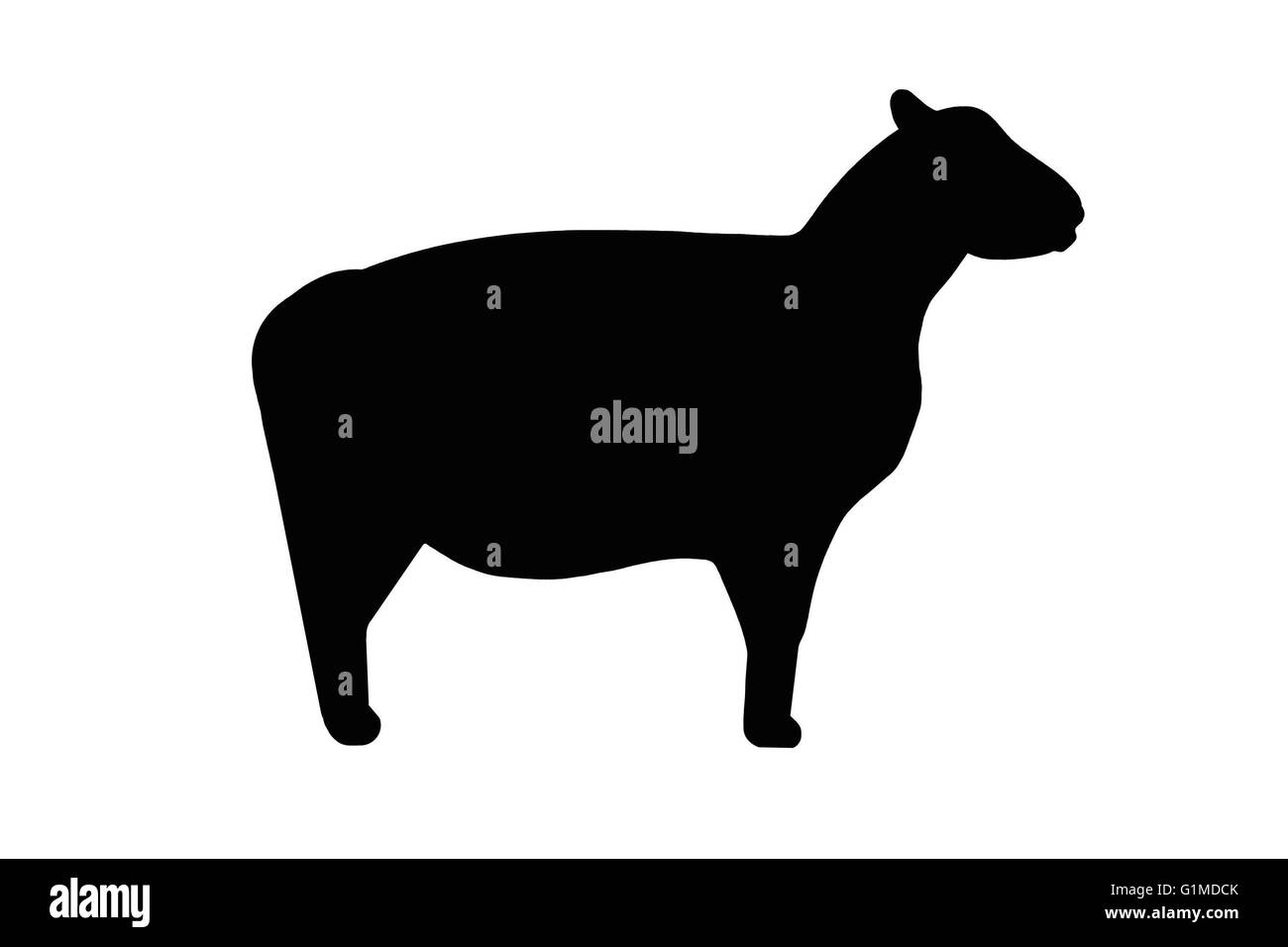 Sheep or stock animal silhouette in black isolated on white Stock Photo