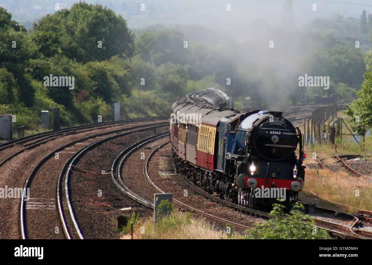 New Build A1 Pacific 60163 Tornado approaching Salfords in a purposeful manner with a Steam Dreams Cathedrals Express from Lewes Stock Photo