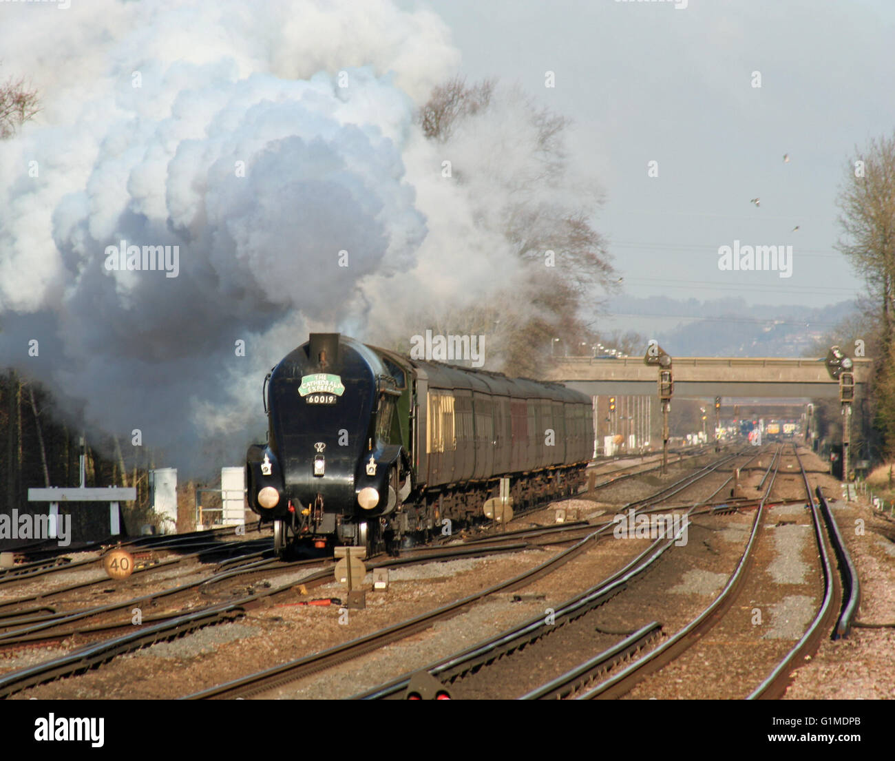 60019 BITTERN storms towards Three Bridges with the Cathedrals Express from London Victoria to Chichester Stock Photo