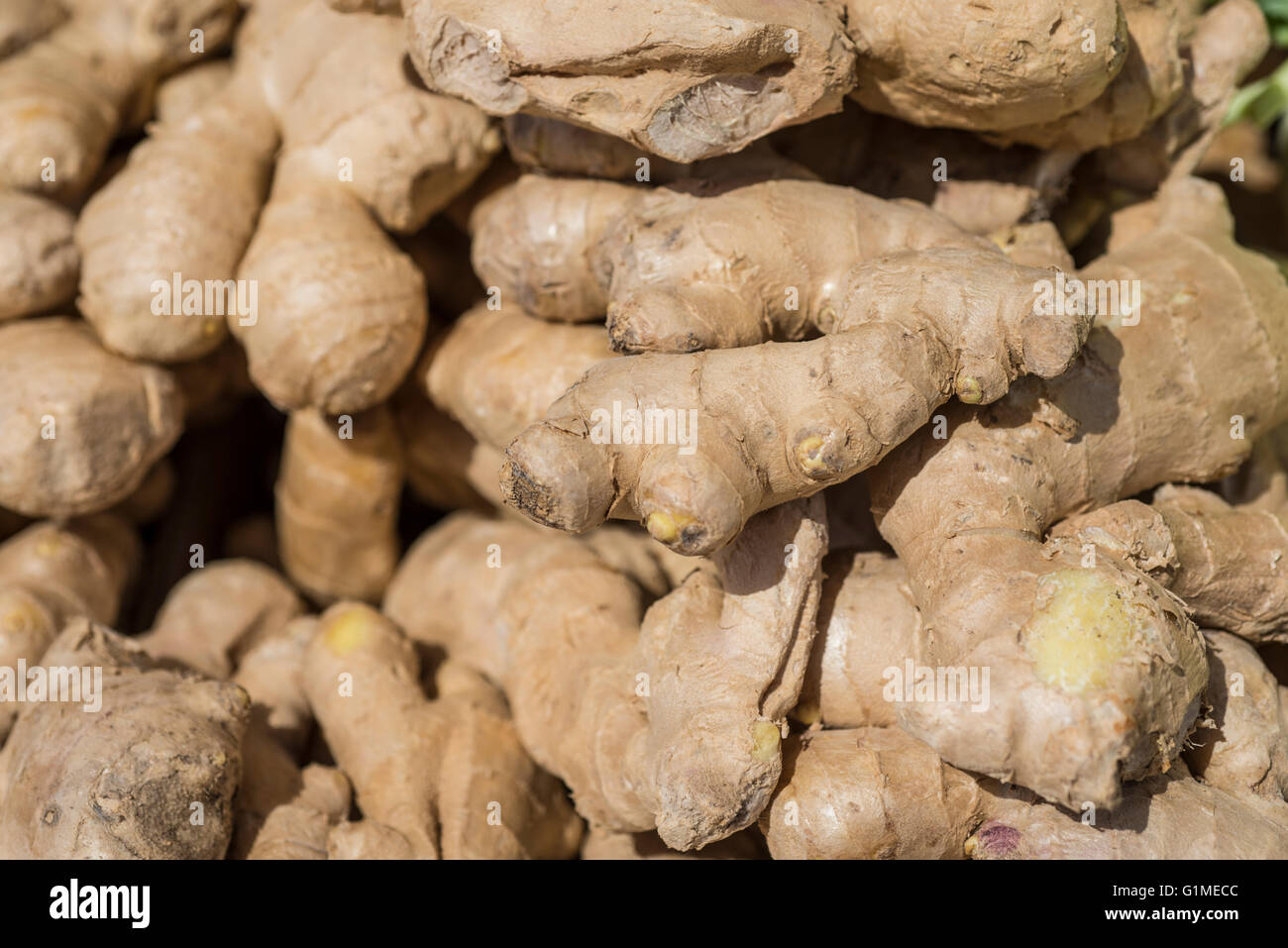 Ginger root at the market Stock Photo