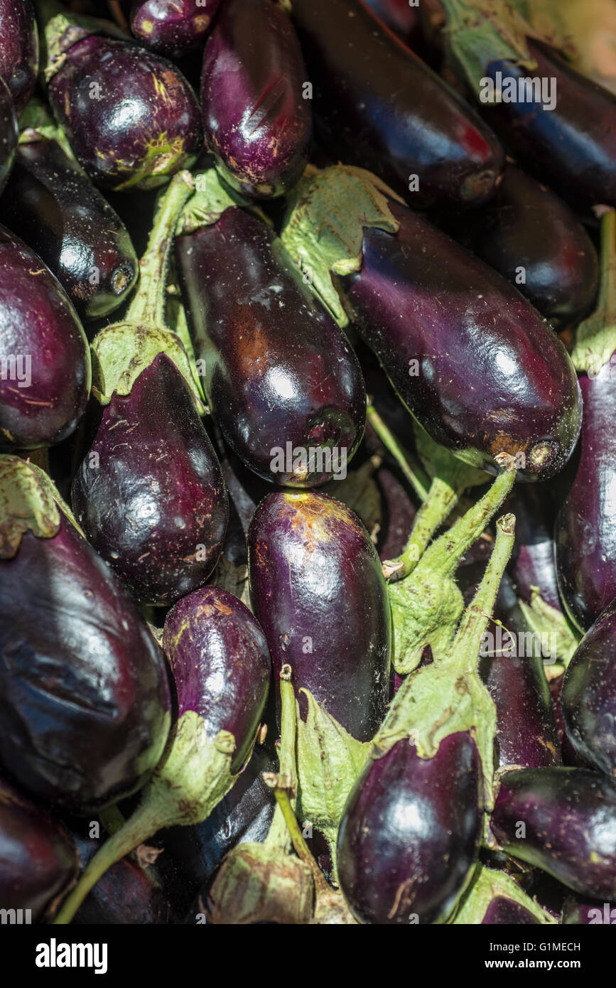Vegetable eggplant hires stock photography and images Alamy