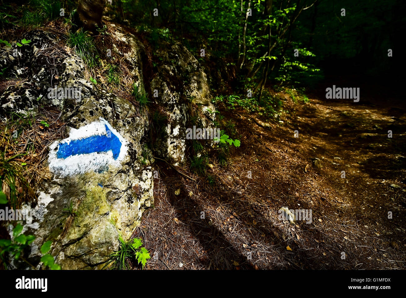 Hiking blue arrow paint marking on a rock on the trail into the woods Stock Photo