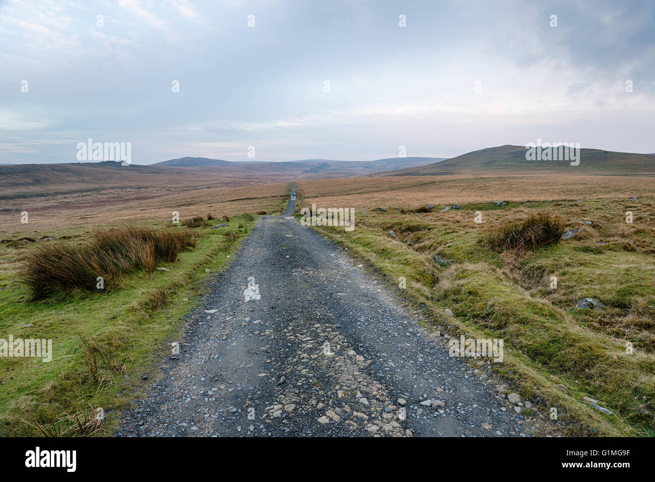 A lonely country lane leading through bleak moorland at Okehampton Camp on Dartmoor National Park in Devon Stock Photo