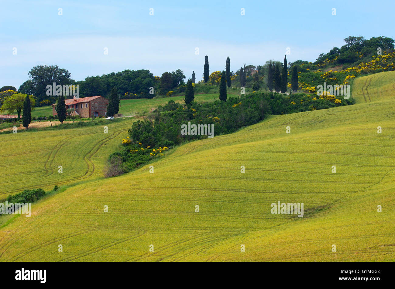 Val d'Orcia, Orcia Valley,  Fields and Farmhouses, Tuscany Landscape, UNESCO world heritage site, Montichiello, Siena Province, Stock Photo