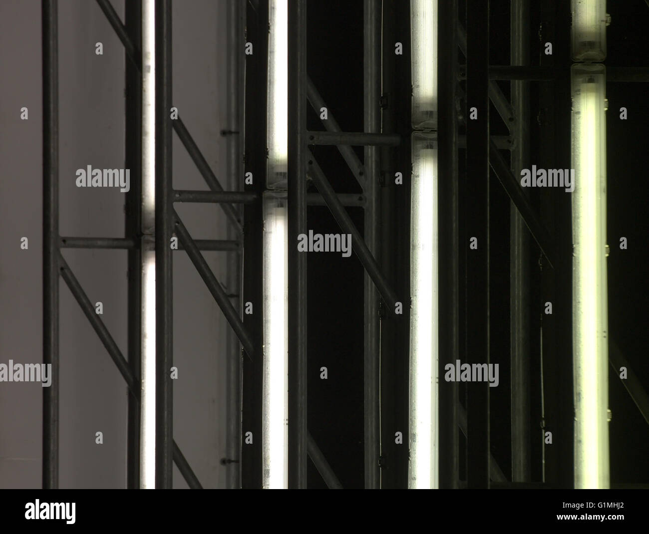 Inner life of an illuminated panel with fluorescent tubes Stock Photo Alamy