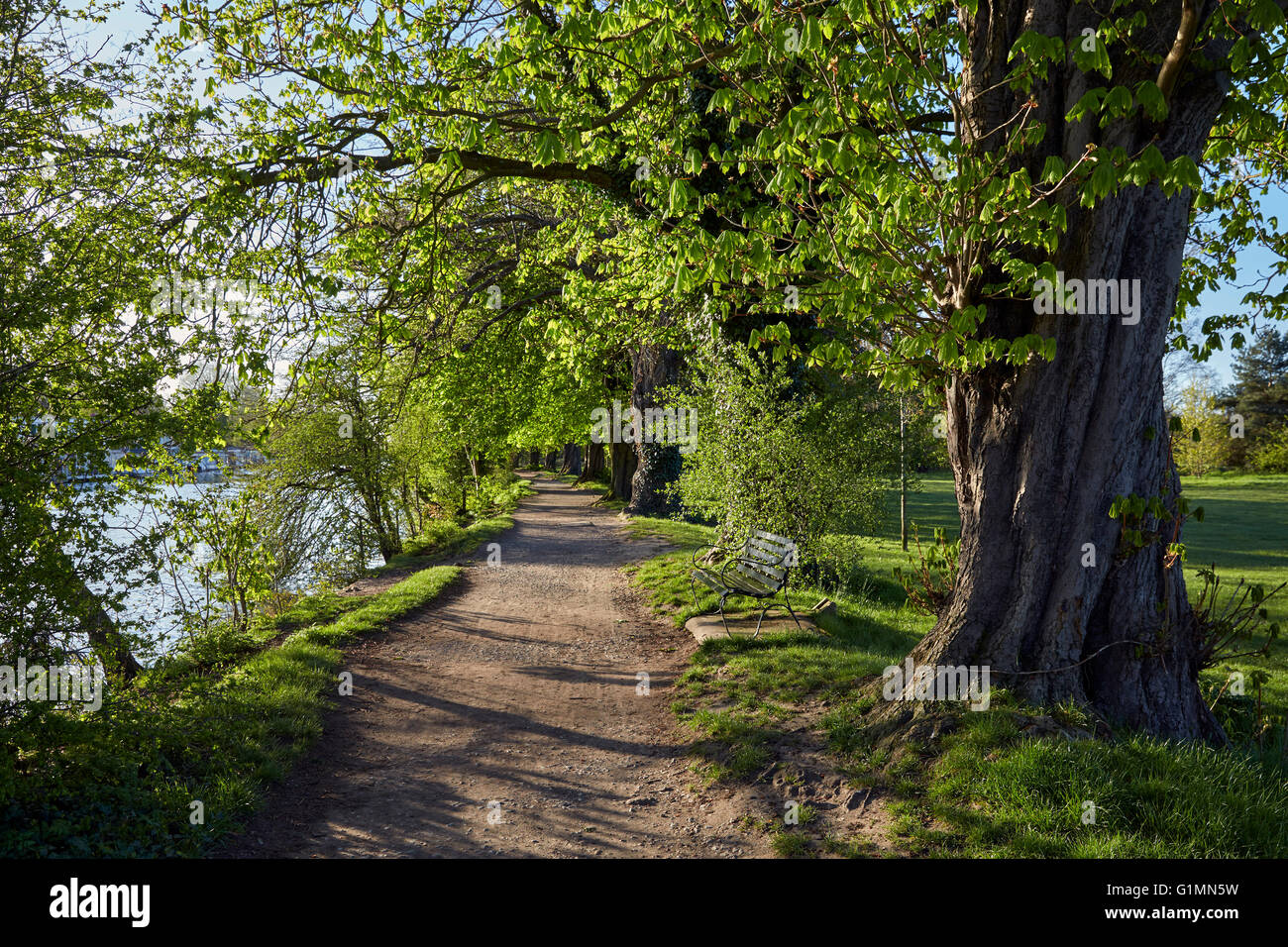 Towpath by the River Thames at Hurst Meadows, West Molesey, Surrey, England. Stock Photo