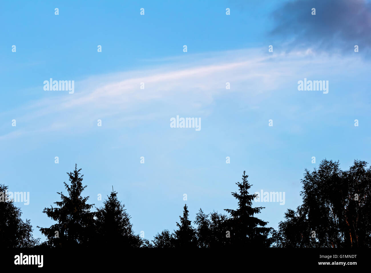 Blue sky with clouds and silhouettes of trees Stock Photo - Alamy