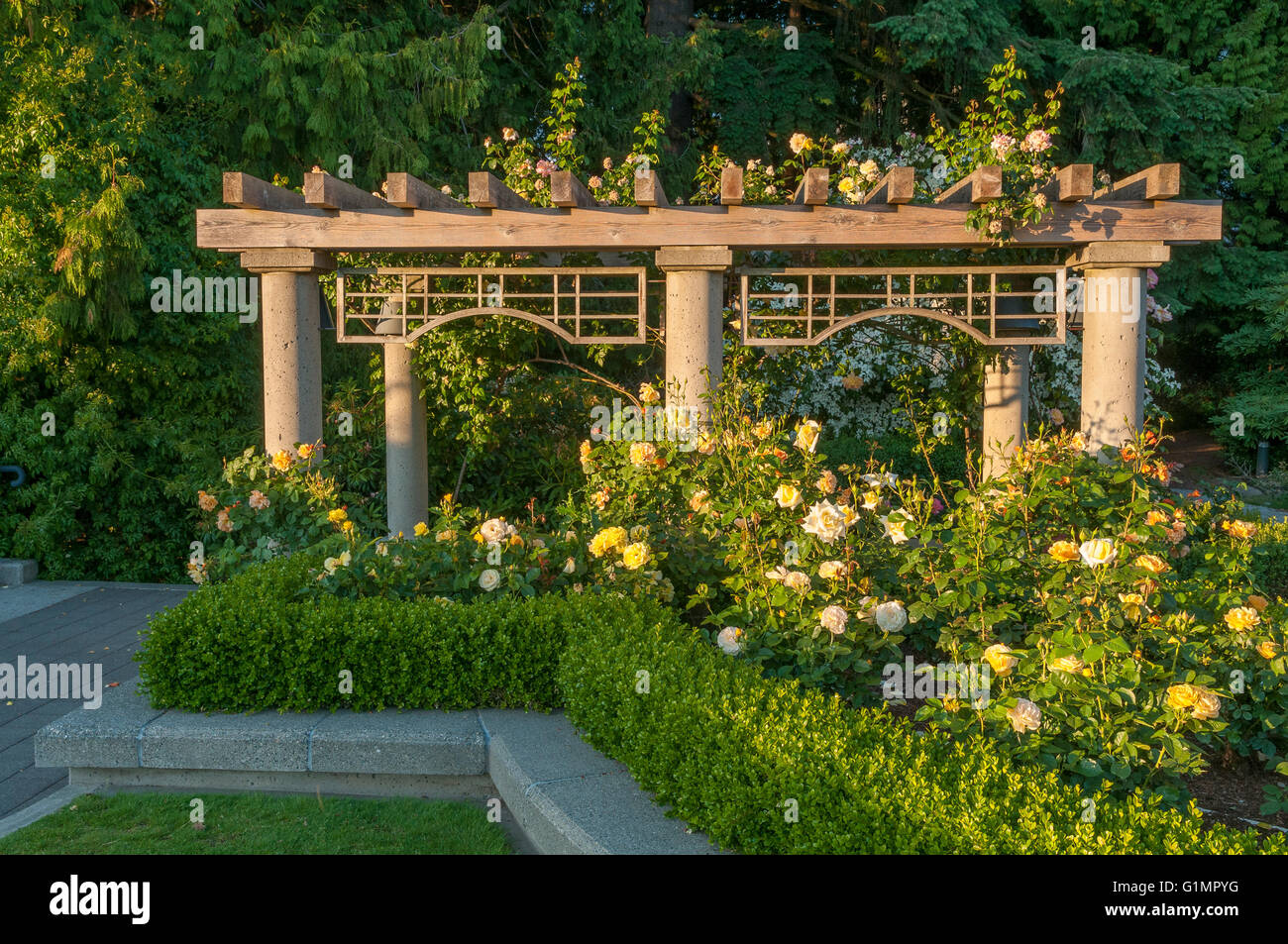 The Rose Garden, UBC, Vancouver, British Columbia, Canada Stock Photo Alamy