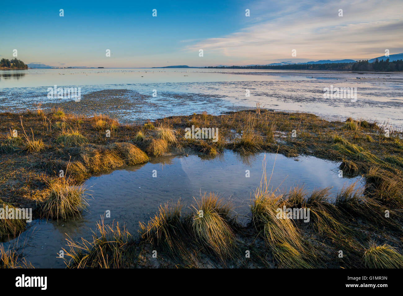Courtenay vancouver island hires stock photography and images Alamy