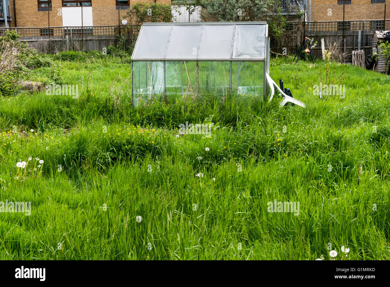 Neglected allotment garden that is overgrown with weeds and an empty greenhouse Stock Photo