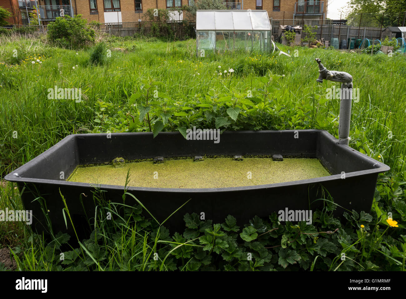 Overgrown By Weeds High Resolution Stock Photography and Images - Alamy