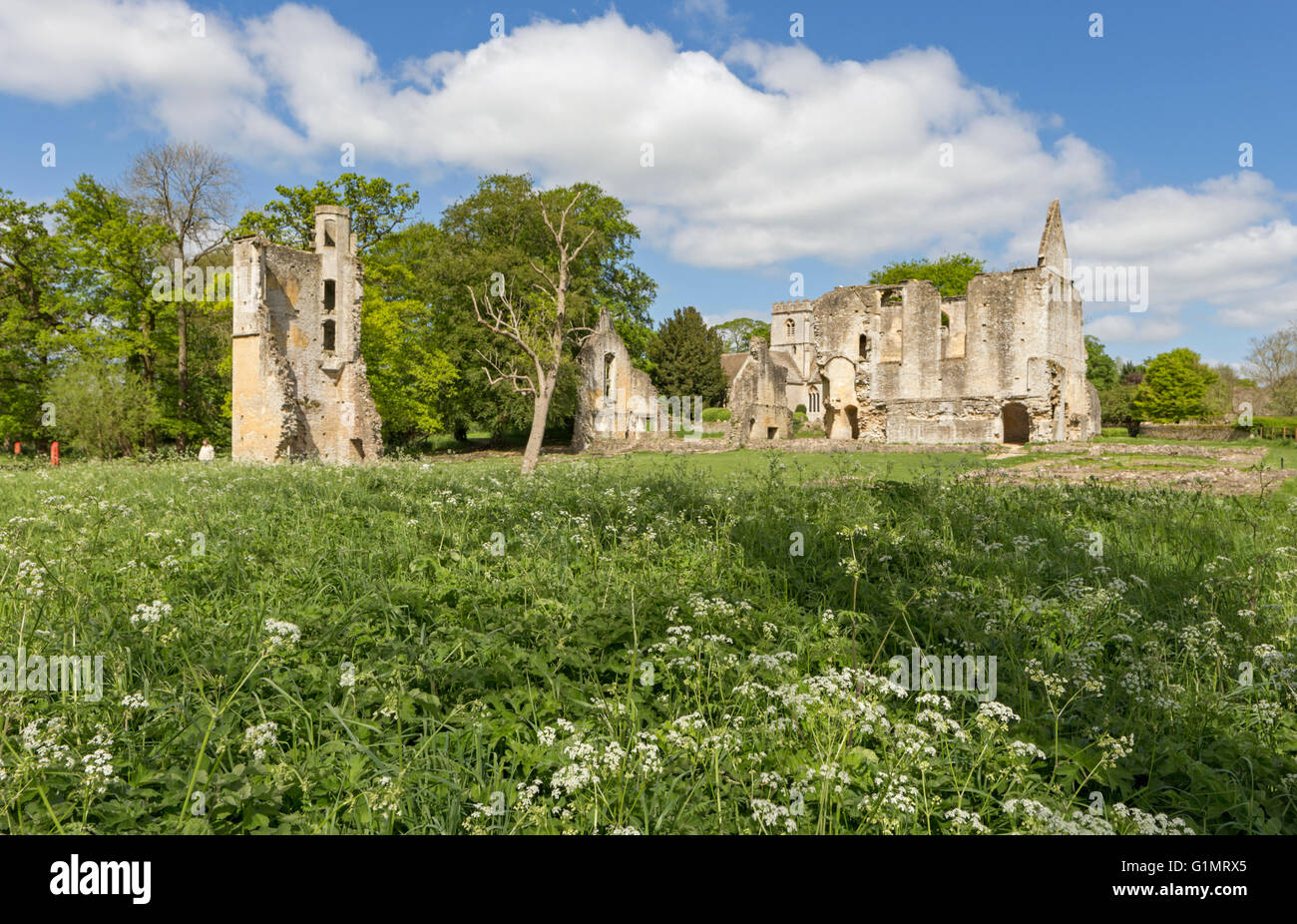 The picturesque ruins of Minster Lovell Hall, a 15th century Oxfordshire manor house, England