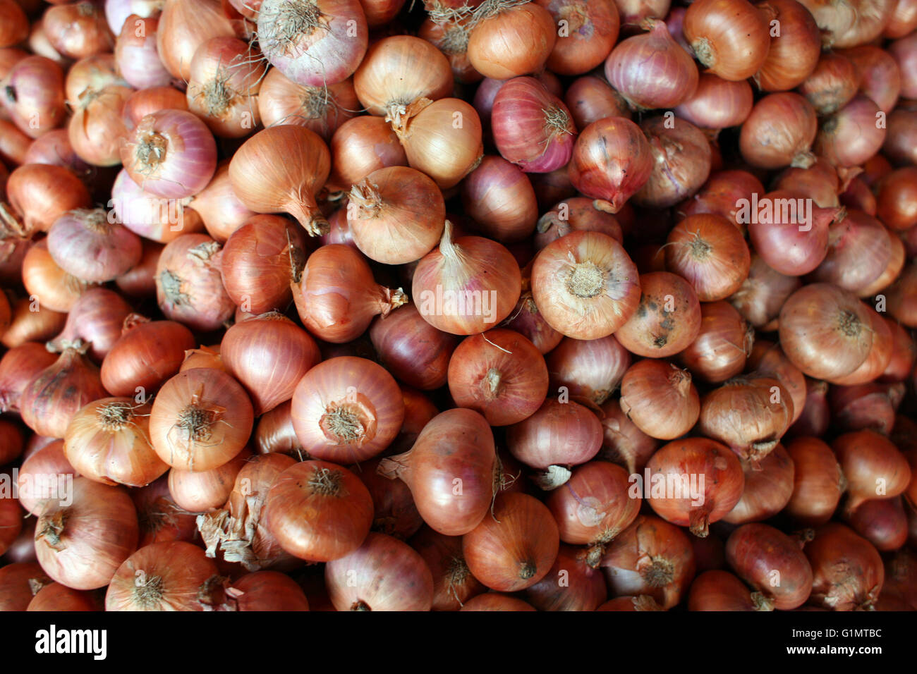OnionPile Of onions / Stack Of onionsin the market Stock Photo Alamy
