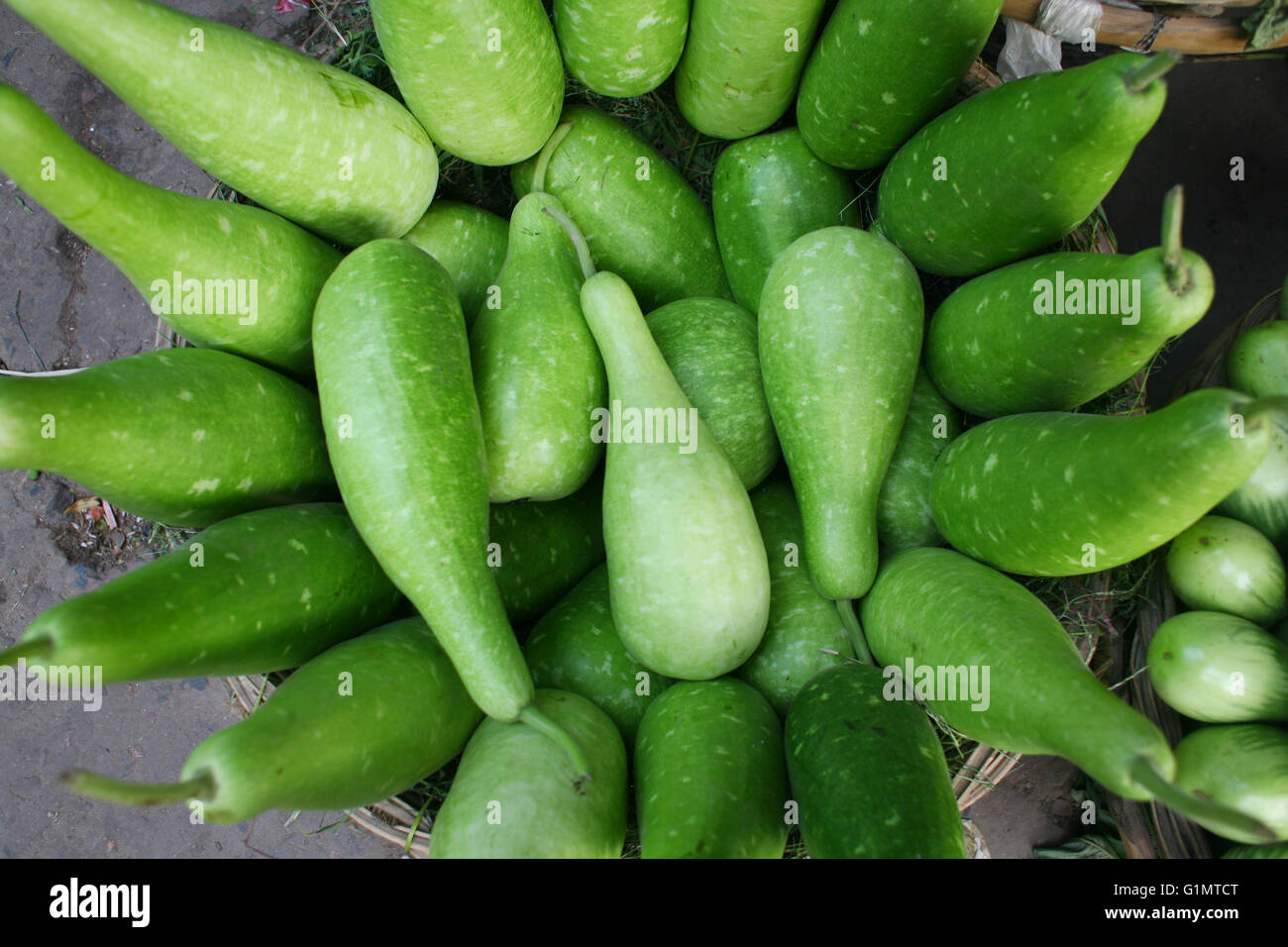 Bottle gourd hires stock photography and images Alamy