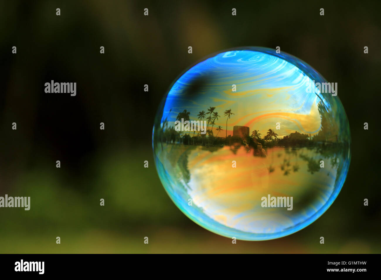 Floating colorful soap bubble with palms reflection, macro Stock Photo