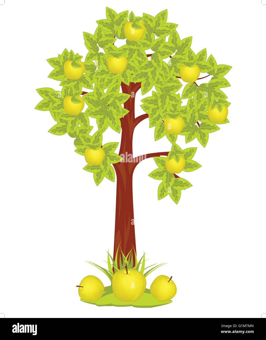 57. золотая яблоня с золотыми яблоками. яблоки на дереве.