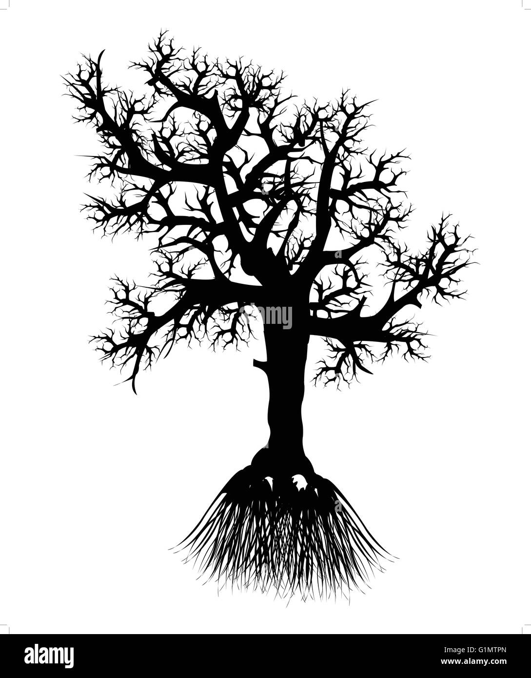 Silhouette tree with root on white background is insulated Stock Vector ...
