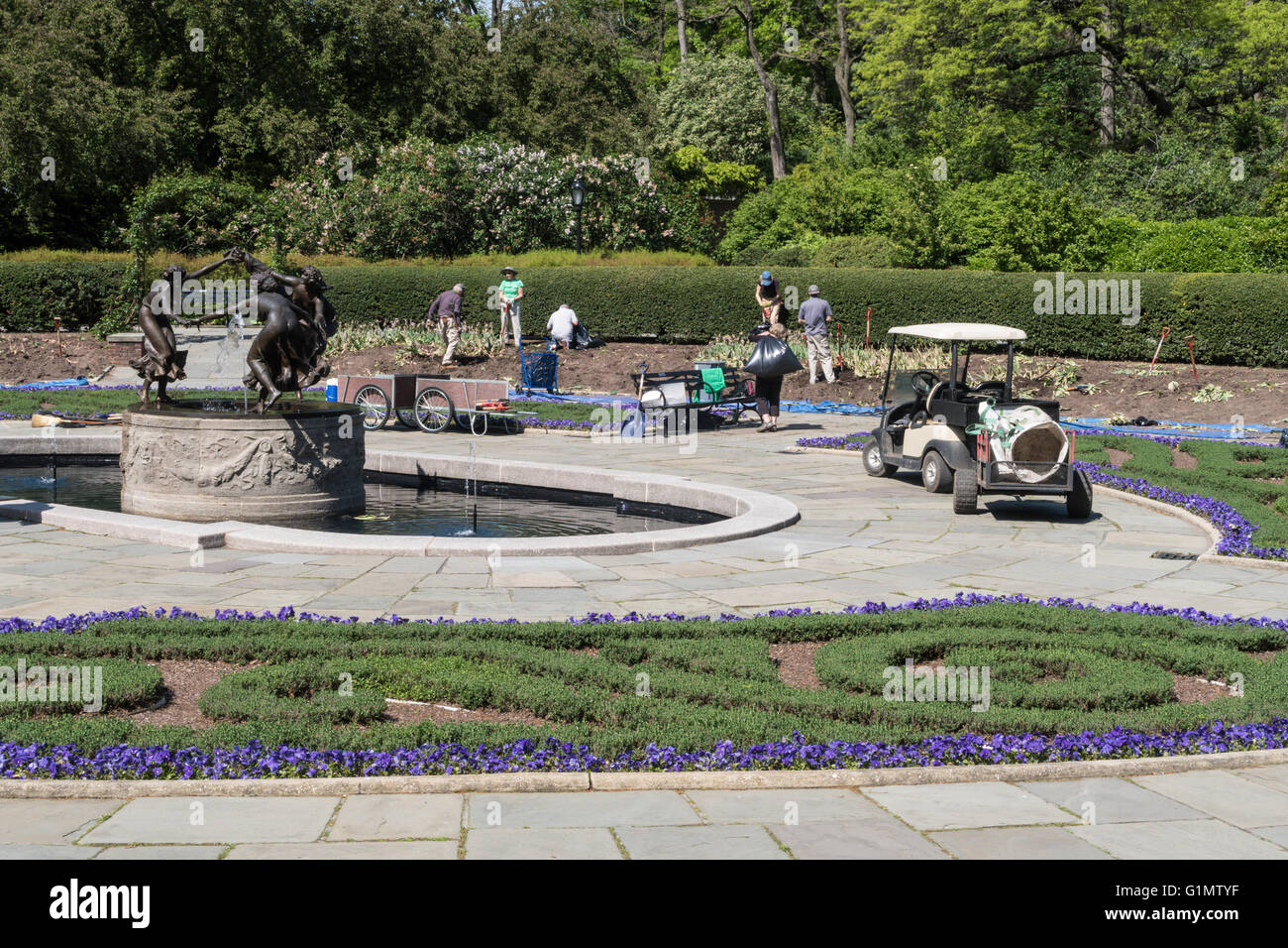 volunteers Replanting Flowers, The Conservatory Garden, Central Park, NYC Stock Photo