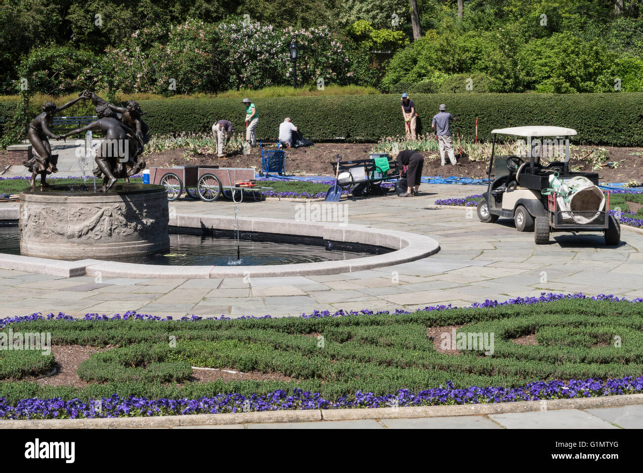 volunteers Replanting Flowers, The Conservatory Garden, Central Park, NYC Stock Photo