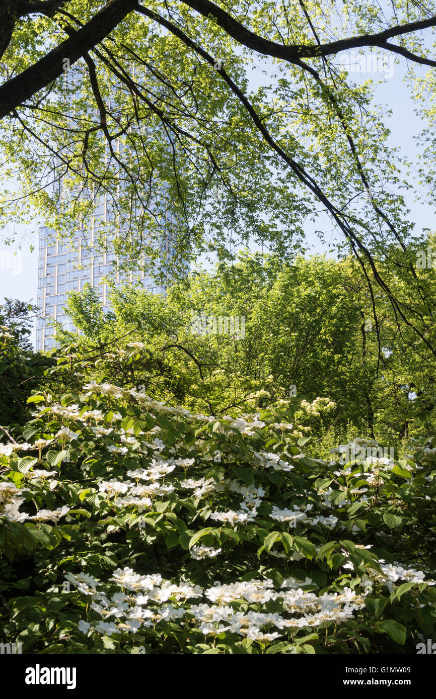 The Conservatory Garden, Central Park, NYC Stock Photo