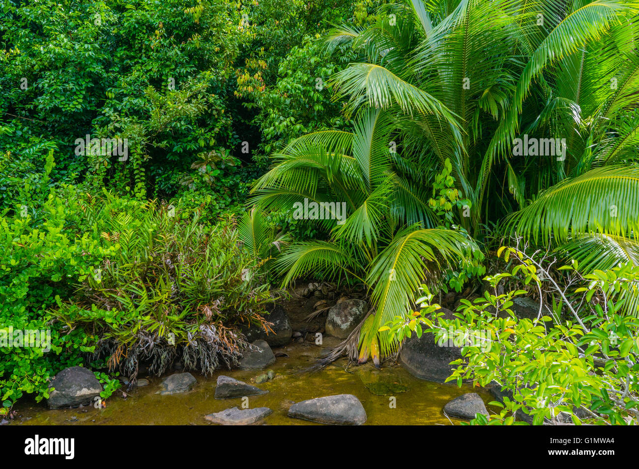 Raw nature hi res stock photography and images Alamy