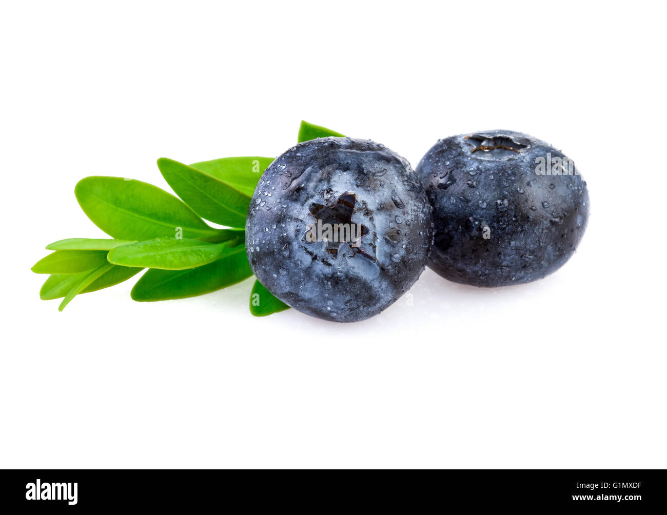 Fresh blueberry with leaf in closeup Stock Photo