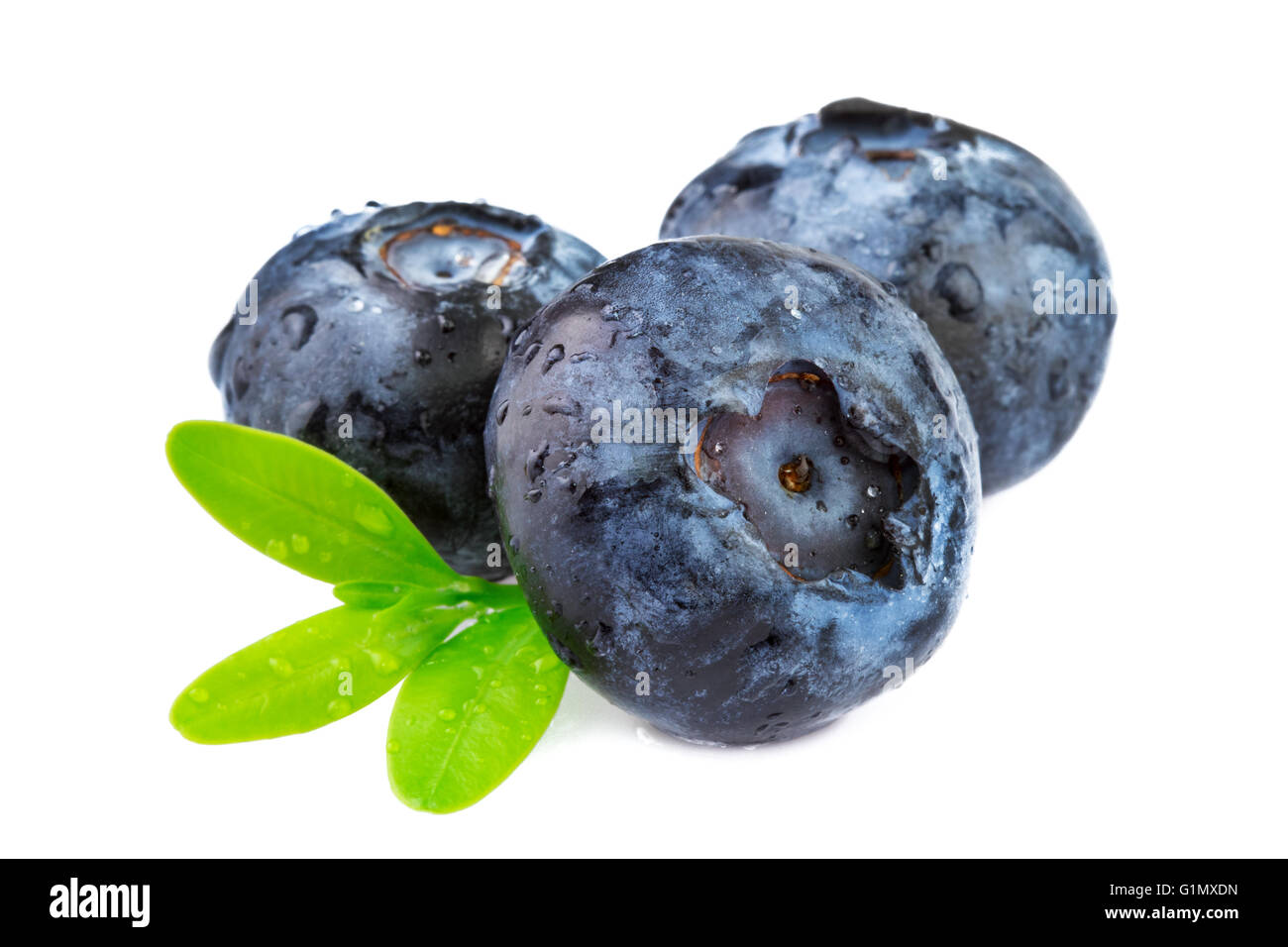 Fresh blueberries isolated on white background Stock Photo