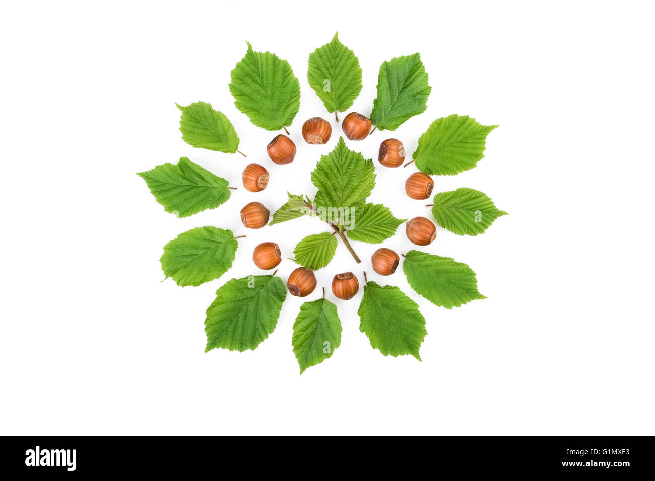 Creative arrangement of filbert nuts with leaves on white. Flat lay, top view. Stock Photo