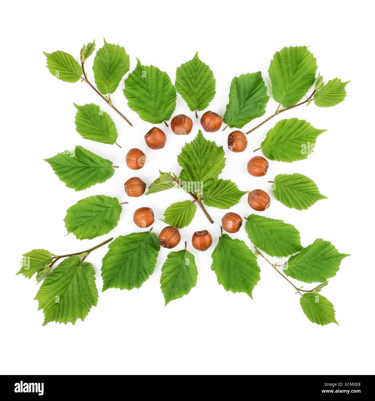 Arrangement of filbert nuts with leaves on white. Flat lay, top view. Stock Photo