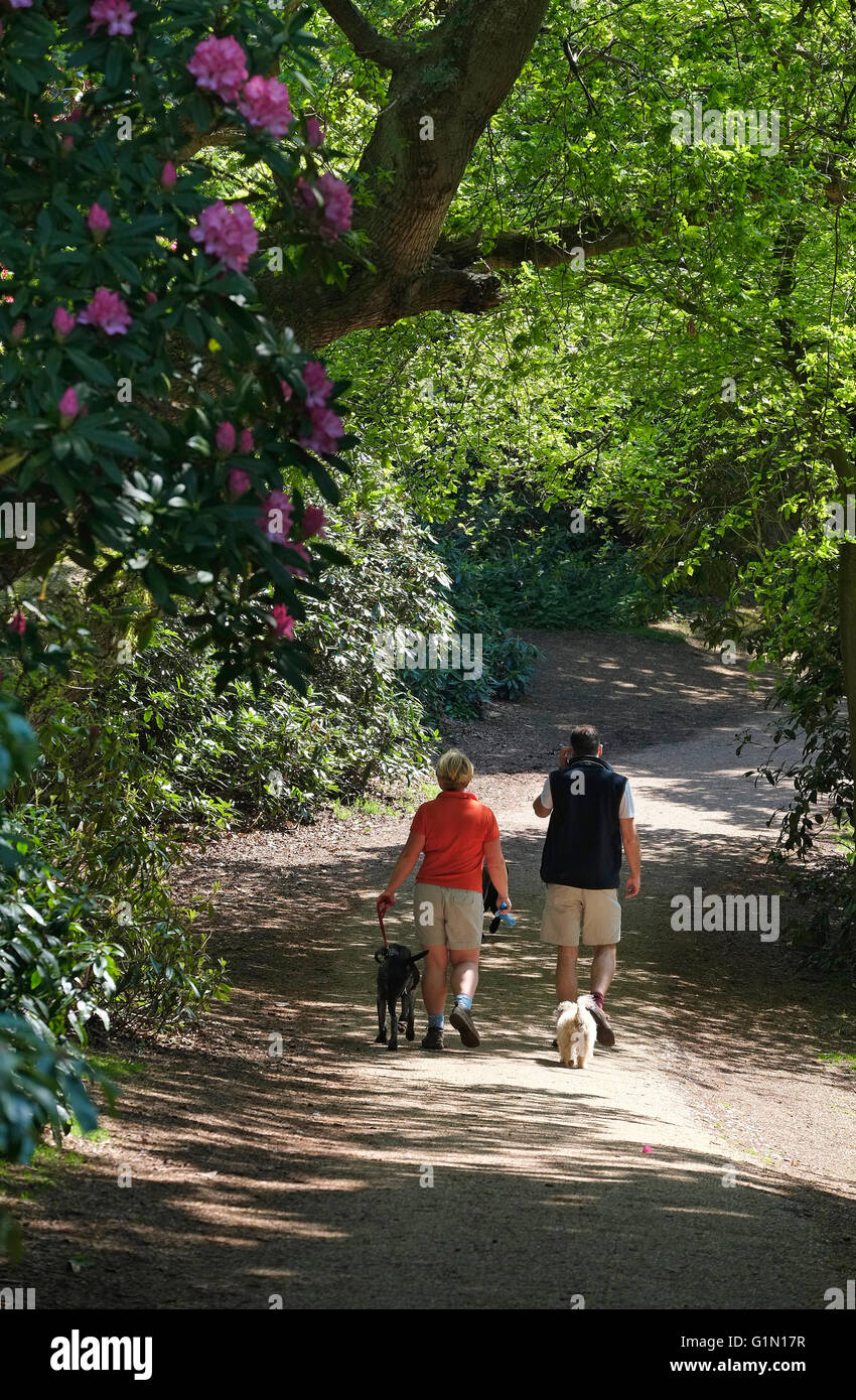 couple dog walking in sheringham park, north norfolk, england Stock