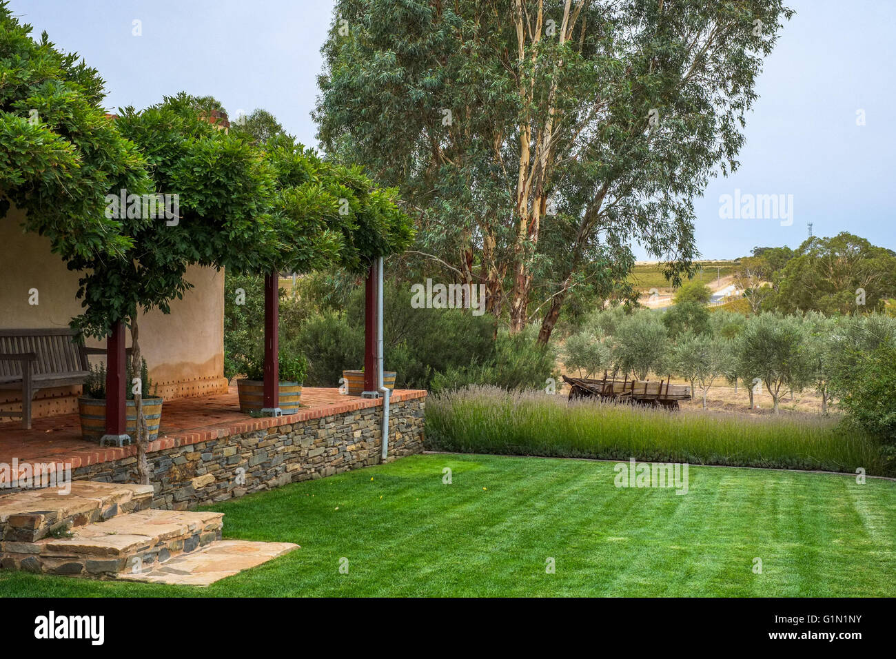 South australian winery Stock Photo Alamy